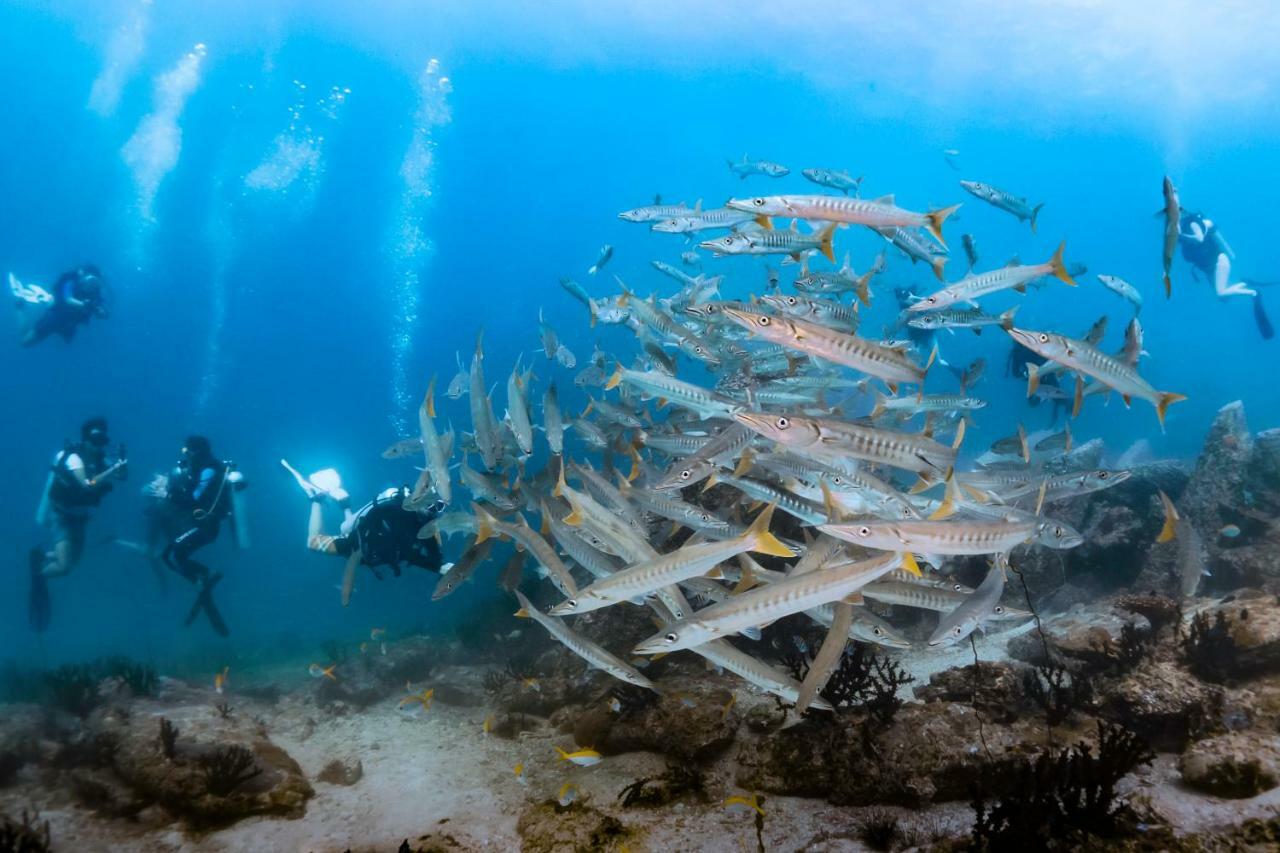 Station touristique Forra Dive Pattaya