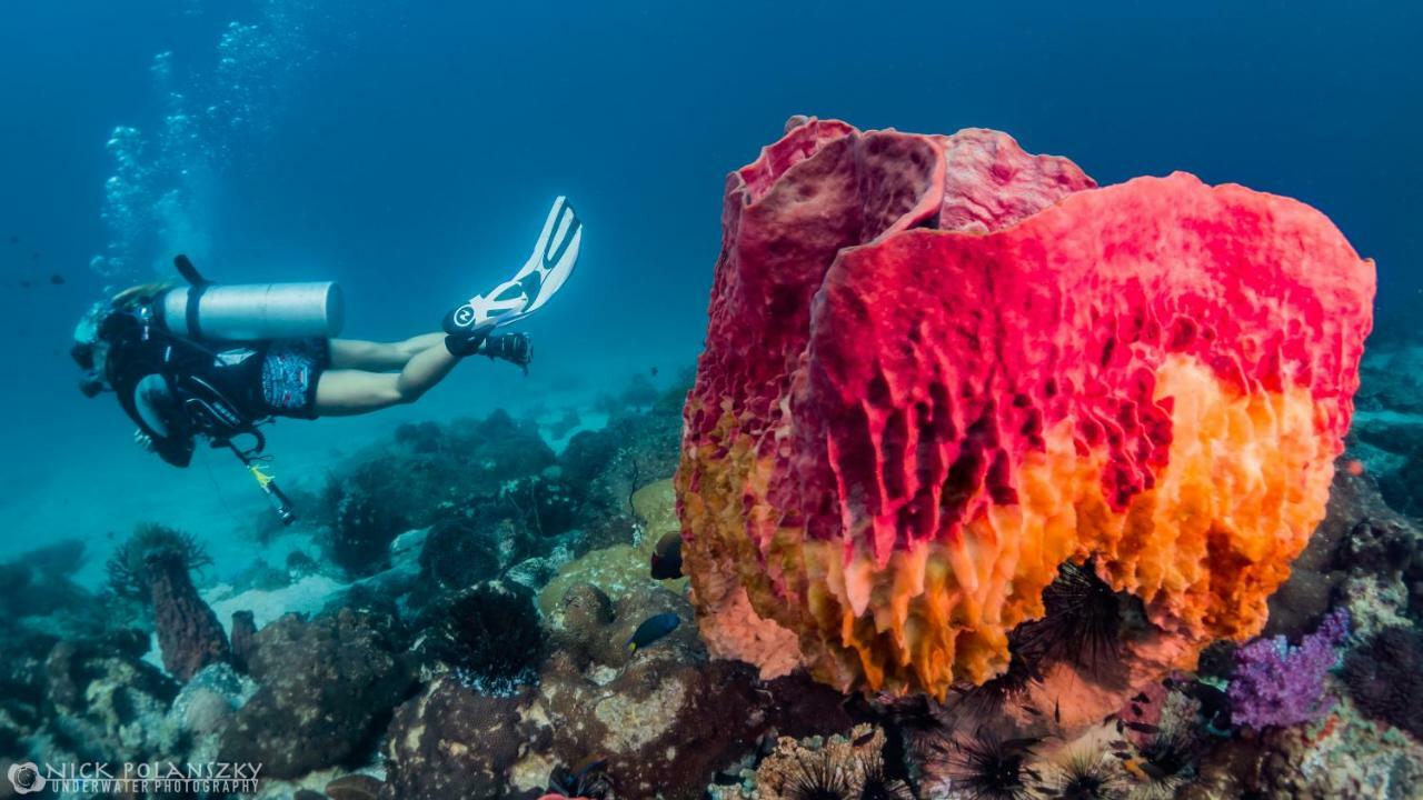Forra Dive Pattaya Resort Koh Lipe