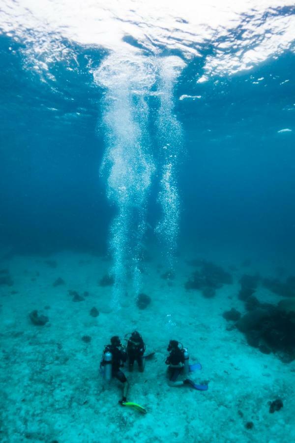 Forra Dive Pattaya