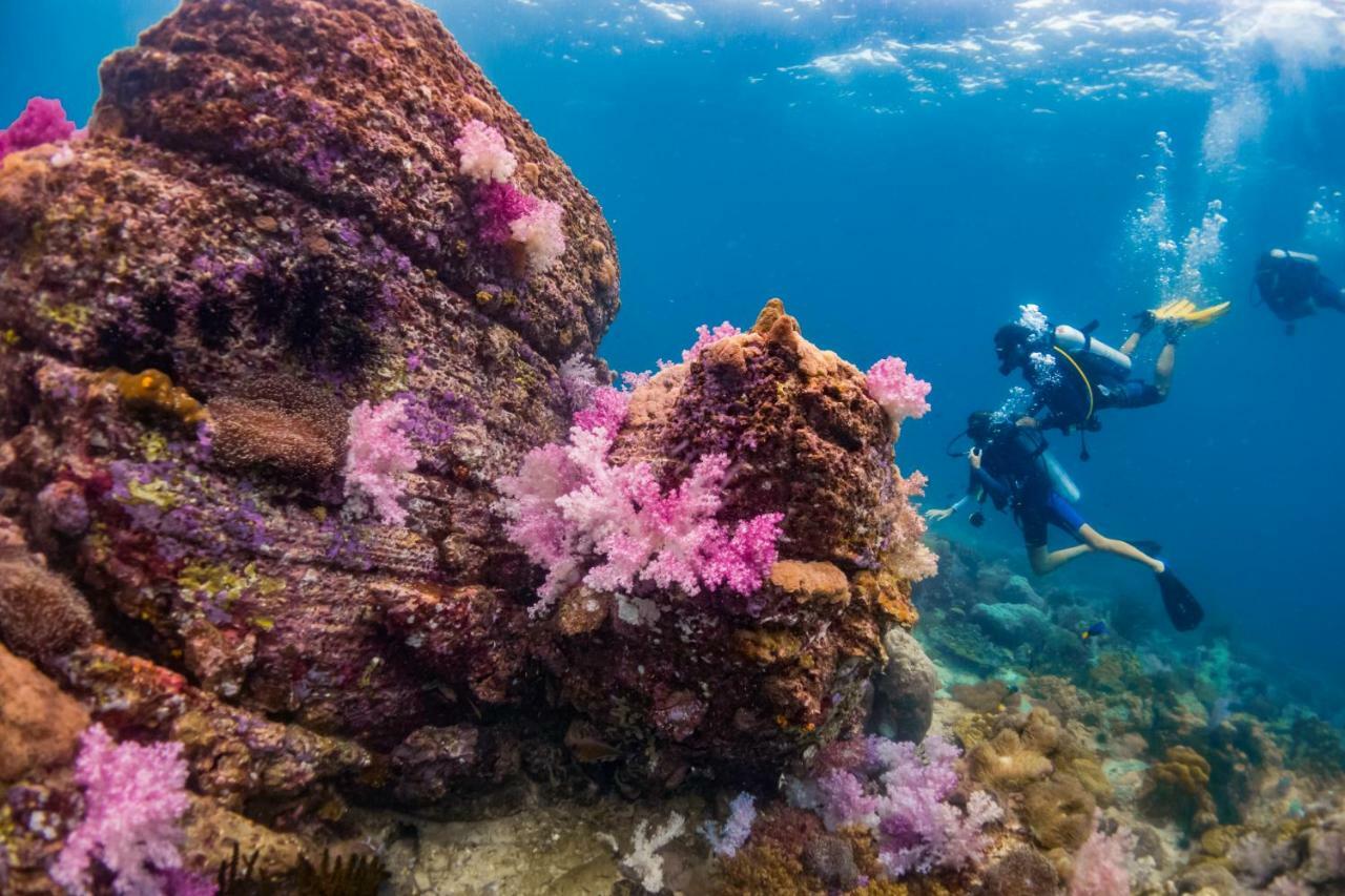 Forra Dive Pattaya