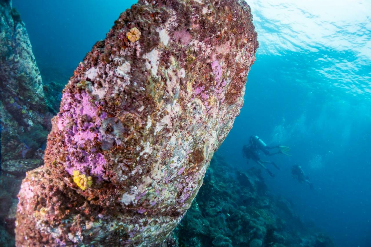 Forra Dive Pattaya Resort Koh Lipe